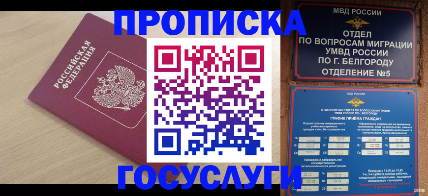 прописка законно в Лодейном Поле